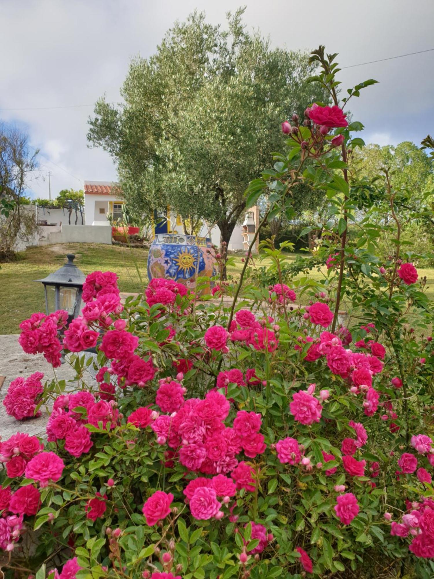 Вилла Sondela Self Catering Сан-Мартинью-ду-Порту Экстерьер фото